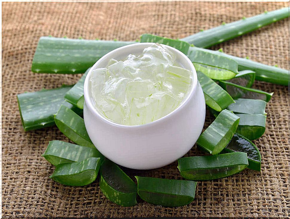 Fresh aloe gel