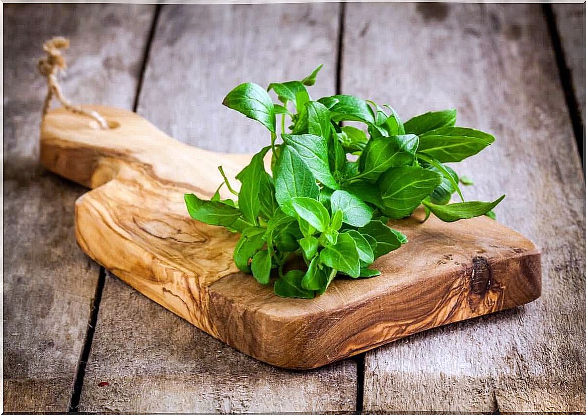 Basil works well not only in the kitchen, but also as a mosquito repellent.