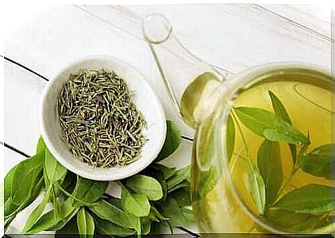 Benefits of green tea - does it extend our lives?