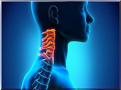 Cervical spine - ailments and their treatment