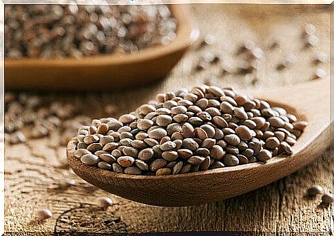 Lentils for high cholesterol