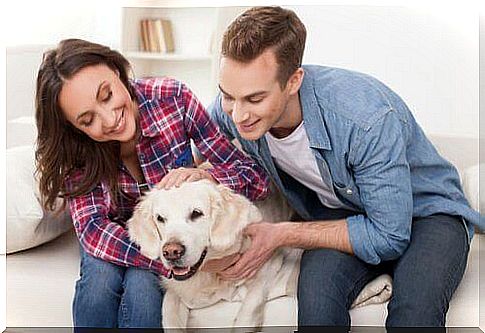 Couple with a labrador on the sofa