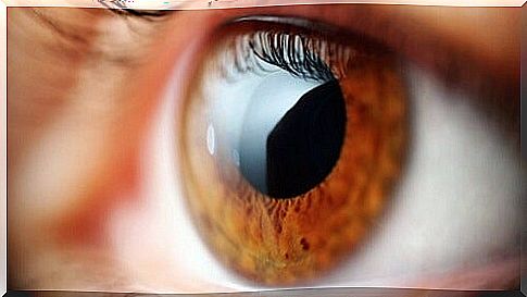 Eyes - Know the 5 health problems