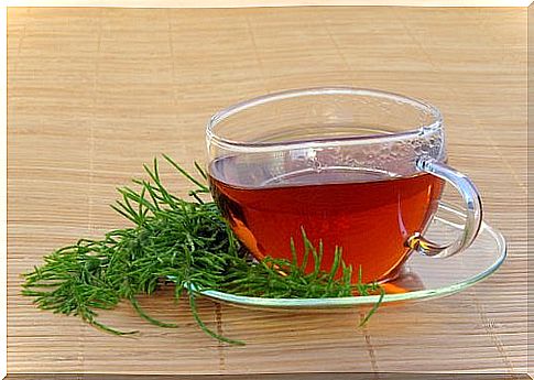 horsetail tea