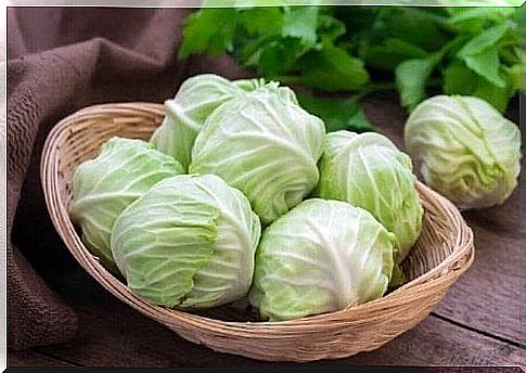 Cabbage - fruits and vegetables to prevent cancer