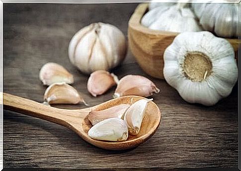 garlic - fruits and vegetables that prevent cancer