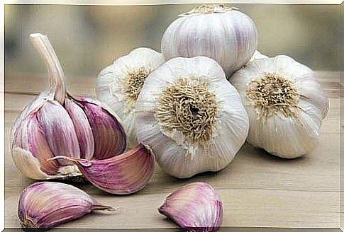 garlic for garlic soup