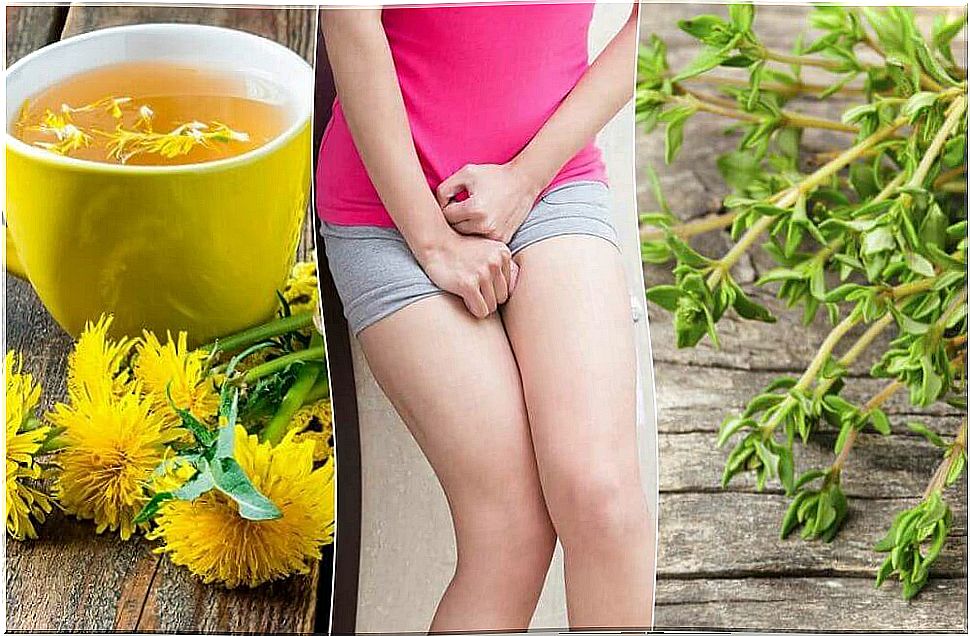 Herbal teas for cystitis