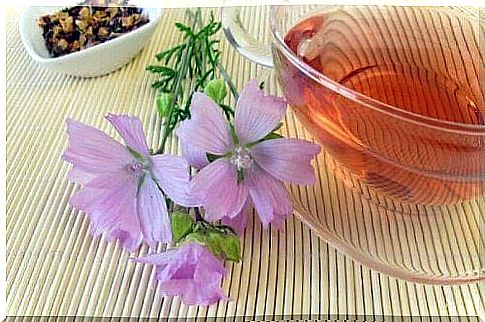 Herbal teas - mallow