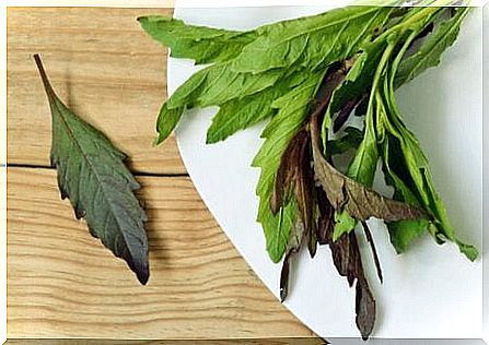 Dried leaves and herbal teas