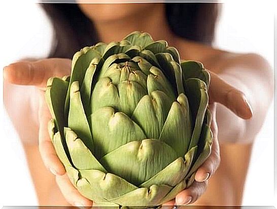 2 #: Artichoke-toxy.jpg