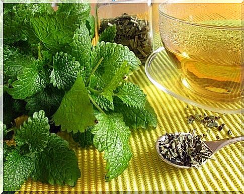 peppermint tea for irritable bowel syndrome