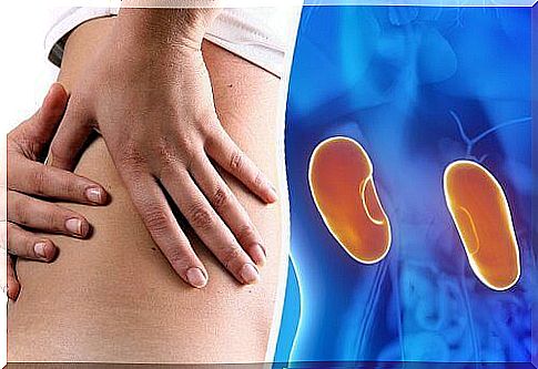 Kidney Health: How to Get Rid of Excess Salt?