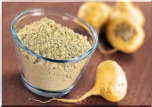 maca root