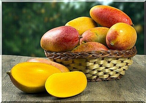 mango fruit