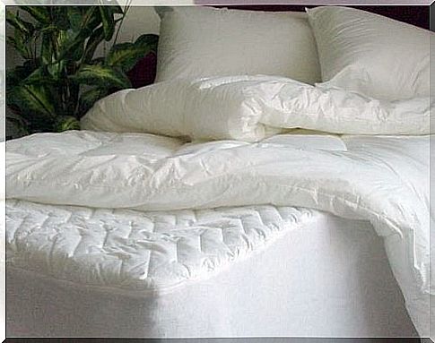 Mattress and pillows - how to disinfect them?