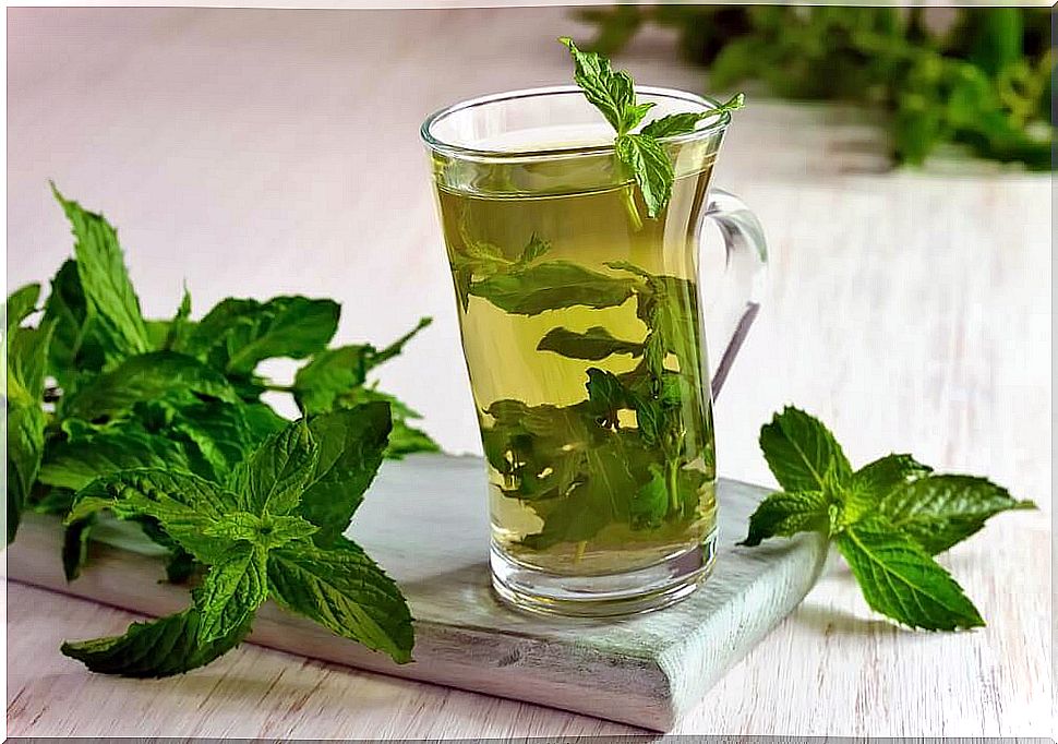 Mint tea - why should you drink it?