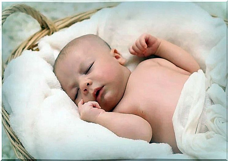 A sleeping baby in the basket