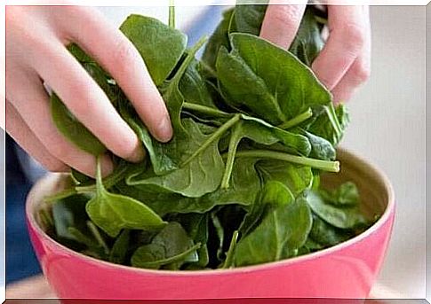 Raw spinach