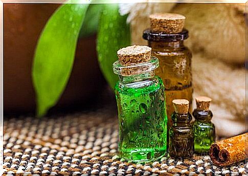 Tea tree oil bottles