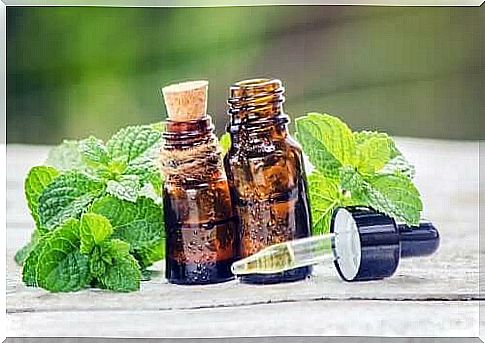 Rosemary and nettle for beautiful hair