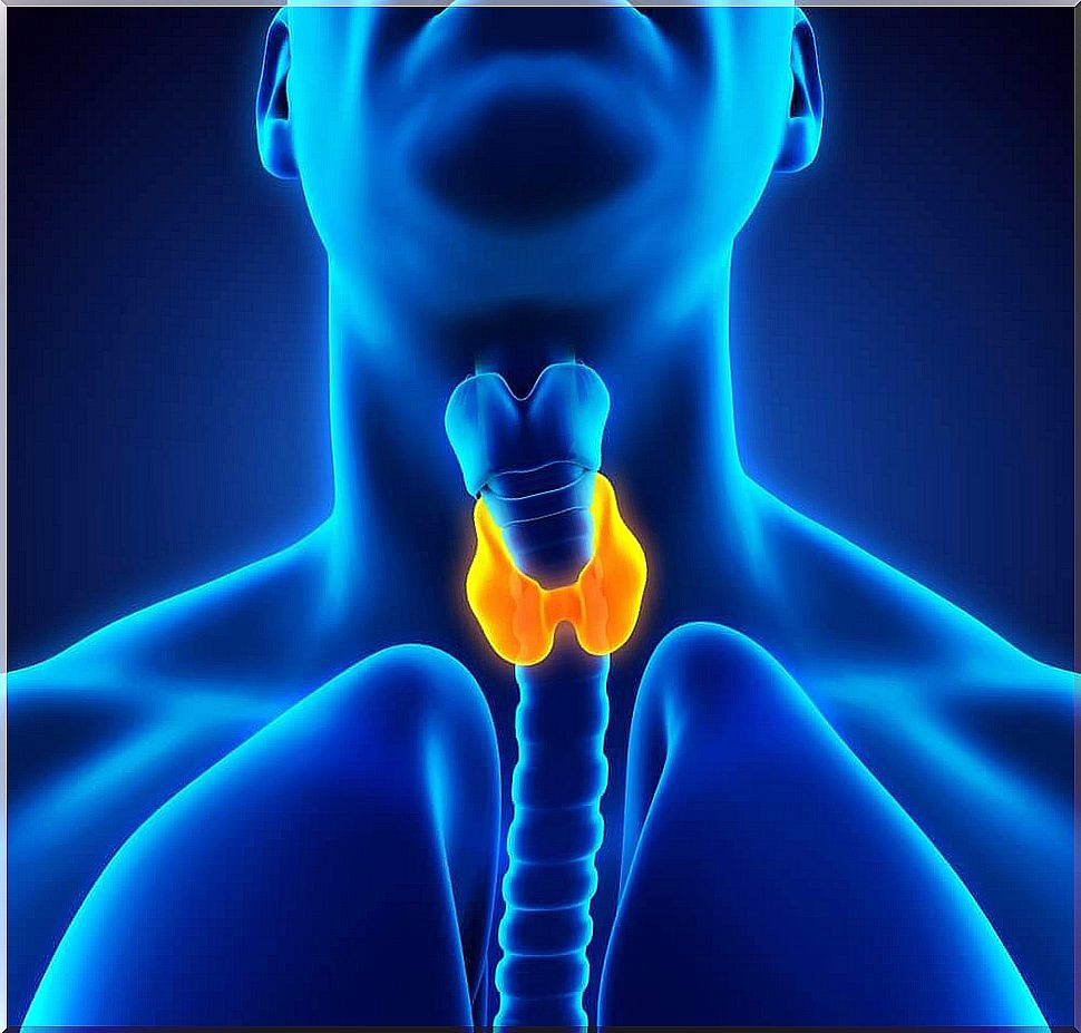 Treatment of thyroid disease - 5 natural remedies