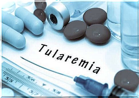 Tularemia: learn about the causes and symptoms of this disease