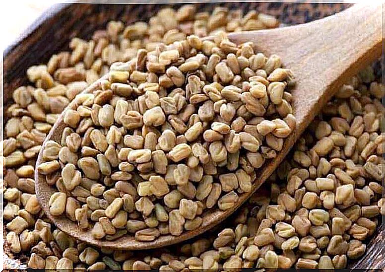 Fenugreek seeds for ulcerative colitis