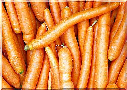 carrot and protein for forehead wrinkles